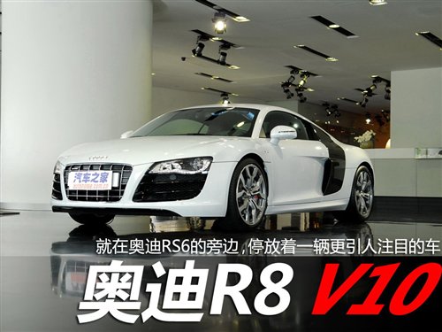 平时难得一见 实拍奥迪RS6/奥迪R8 V10 汽车之家