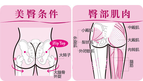 丑臀是怎样形成的呢