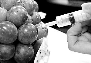 葡萄有“针眼”是注水？假的！对健康没有影响