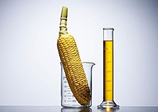 研究表明常吃玉米易得食道癌