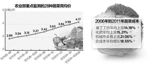 菜价连续10周累计涨幅达55% 专家称符合规律