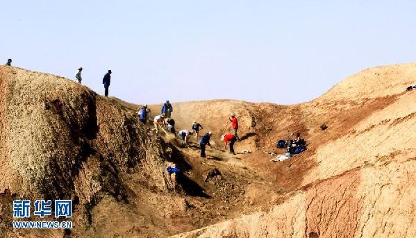 （科技）（1）新疆鄯善发现我国最大侏罗纪恐龙化石