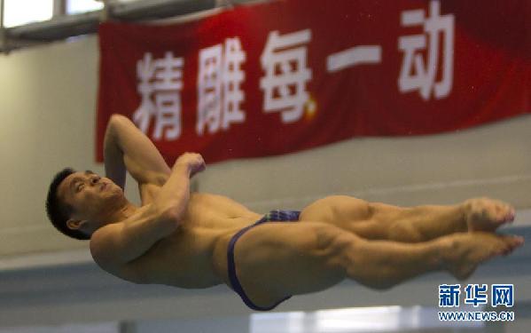 （伦敦奥运会）（4）跳水——国家队举行公开训练课