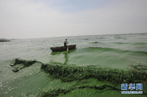#（生态）（1）安徽巢湖出现蓝藻集聚