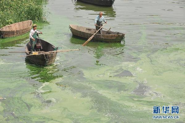 #（生态）（2）安徽巢湖出现蓝藻集聚
