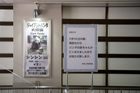组图：日本众多市民冒雨为已故熊猫宝宝献花哀悼