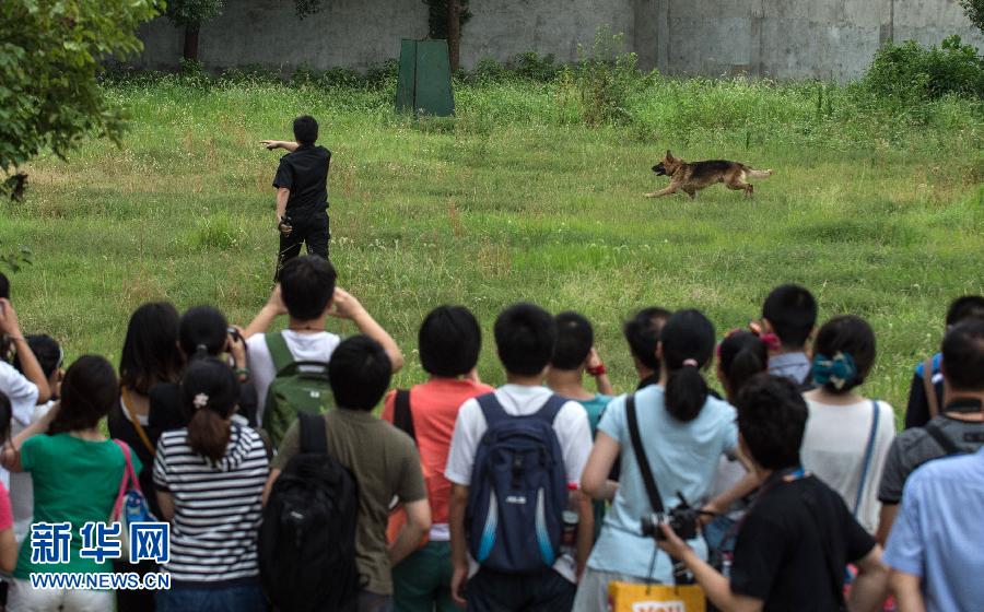 （社会）（1）武汉警营开放日，与警犬亲密接触