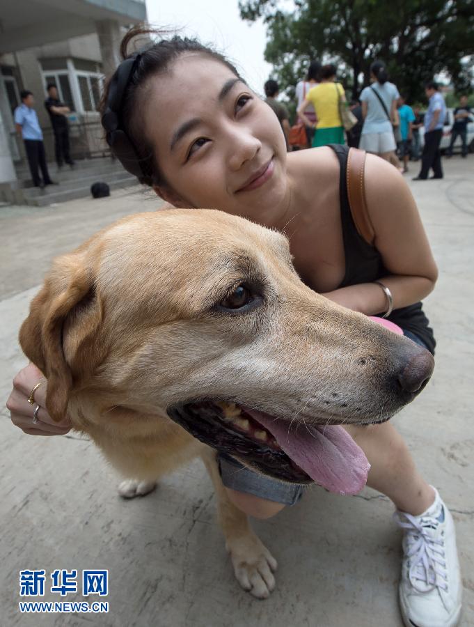 （社会）（4）武汉警营开放日，与警犬亲密接触