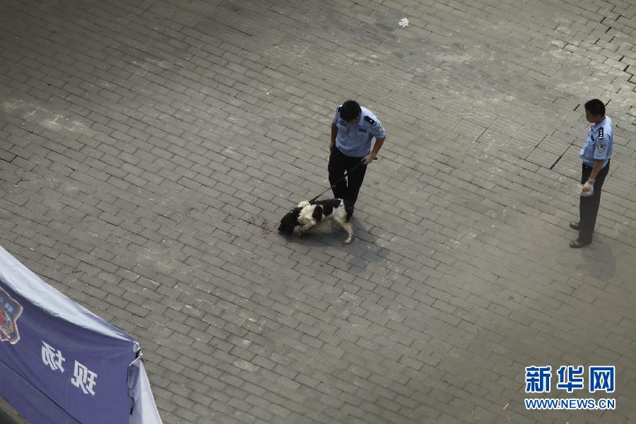 （新华网）（4）重庆发生持枪抢劫案致一死两伤　警方正全力追凶