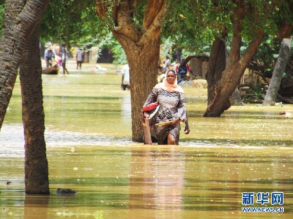 （国际）（2）尼日尔暴雨引发洪水泛滥致47人死亡