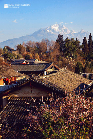 新浪旅游配图：远处的雪山 摄影：李双喜