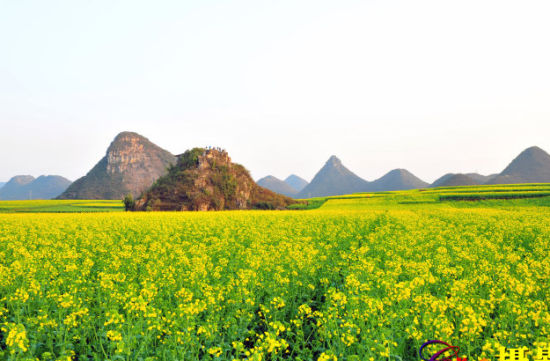 这样的美景，怎能不醉