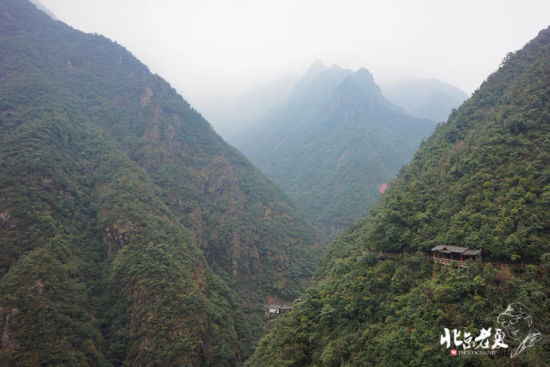 此时的龙门，初显绿意