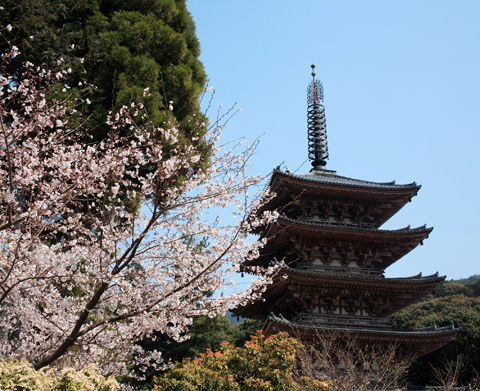 醍醐寺