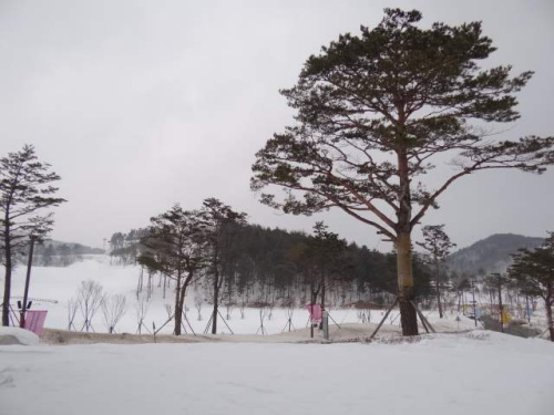 韩国东海岸暴雪部分村庄交通中断学校被逼停课