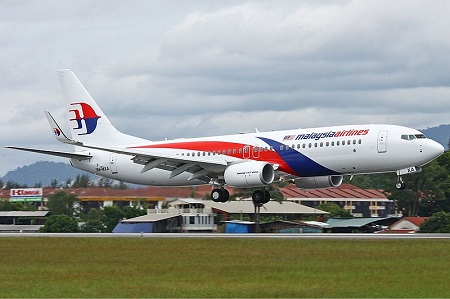 马航客机在尼泊尔降落时遭飞鸟撞击人员无恙