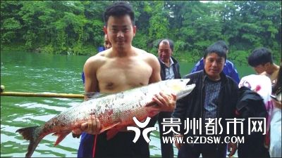 贵州龙舟赛队员热身时一船桨拍晕40斤大鱼(图)