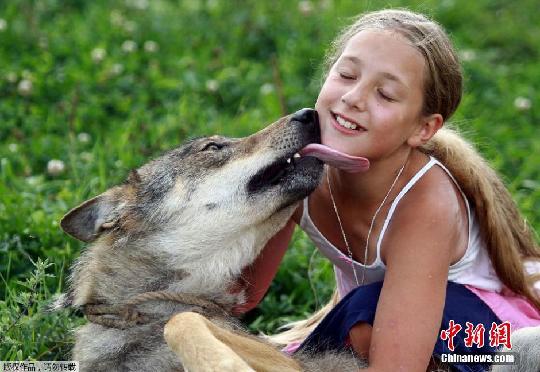 俄国一家人养狼当宠物 女孩骑狼狂奔