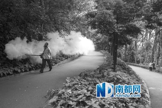 广东登革热病例累计24489例 首个检测试剂上市