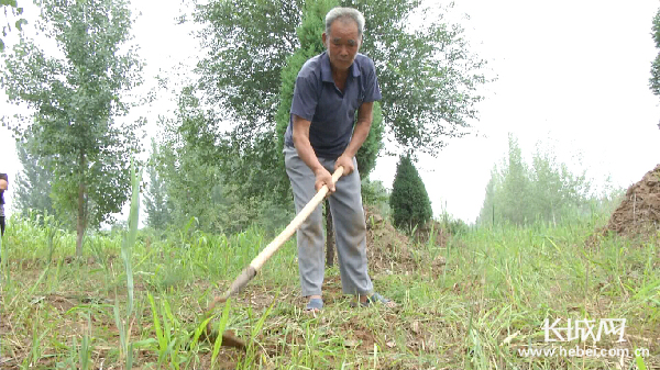 苗明文为烈士墓清理杂草