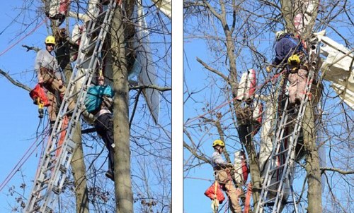87岁老人驾飞机转向时撞树挂树上4小时后获救